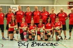 Volleyball - 01