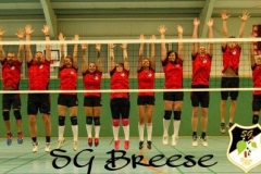 Volleyball - 03